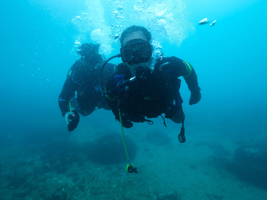 Chems Diving-费尼迪克必去景点