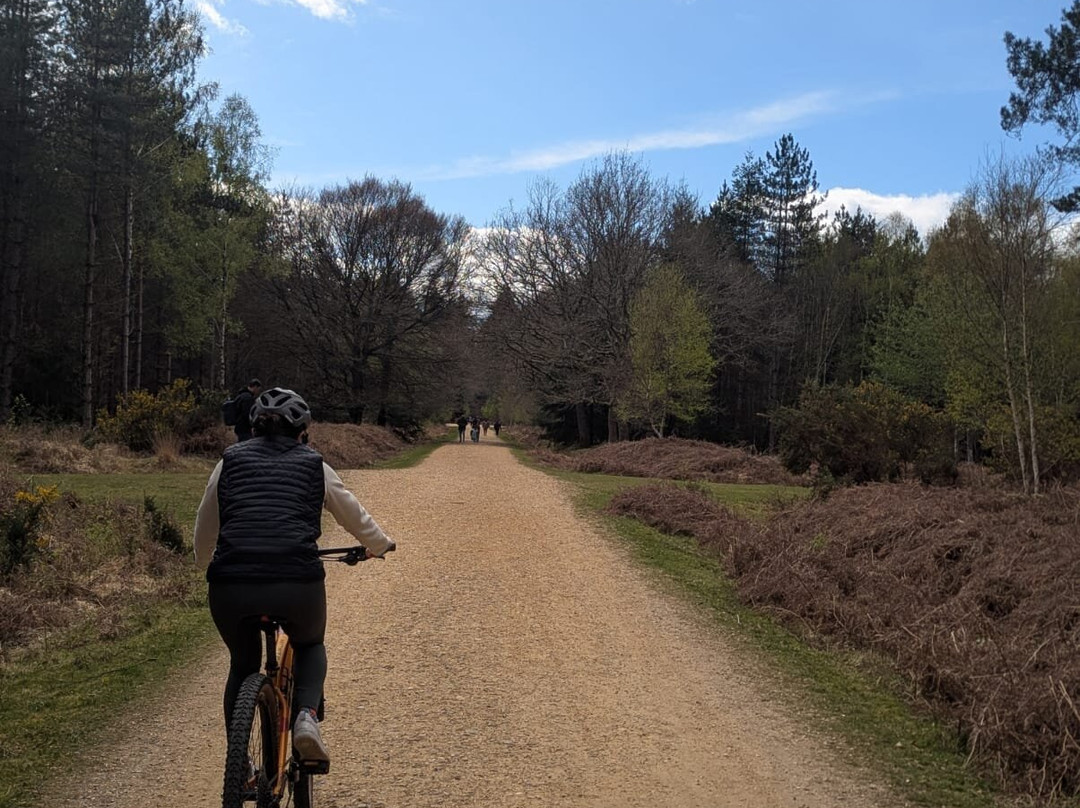 Cyclexperience (new Forest)-Brockenhurst必去景点