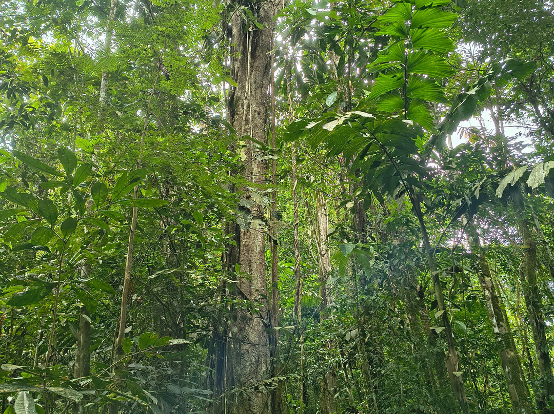 Aves y Aventuras en Putumayo-Mocoa必去景点
