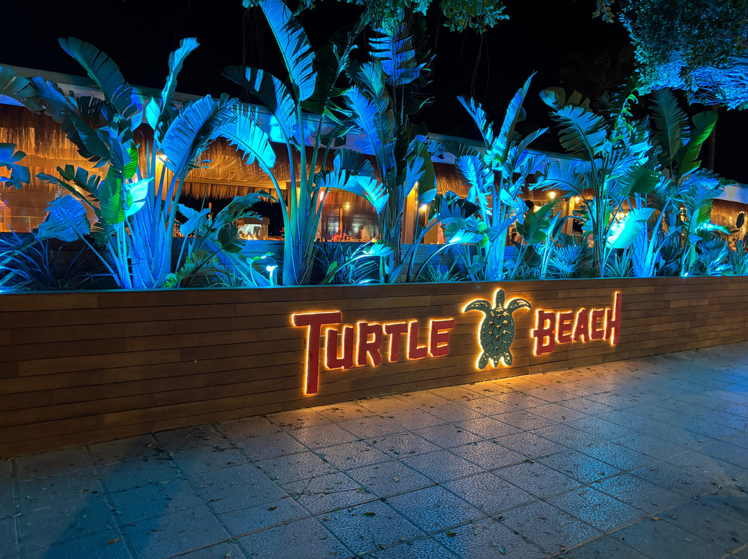 Turtle Beach Palmanova