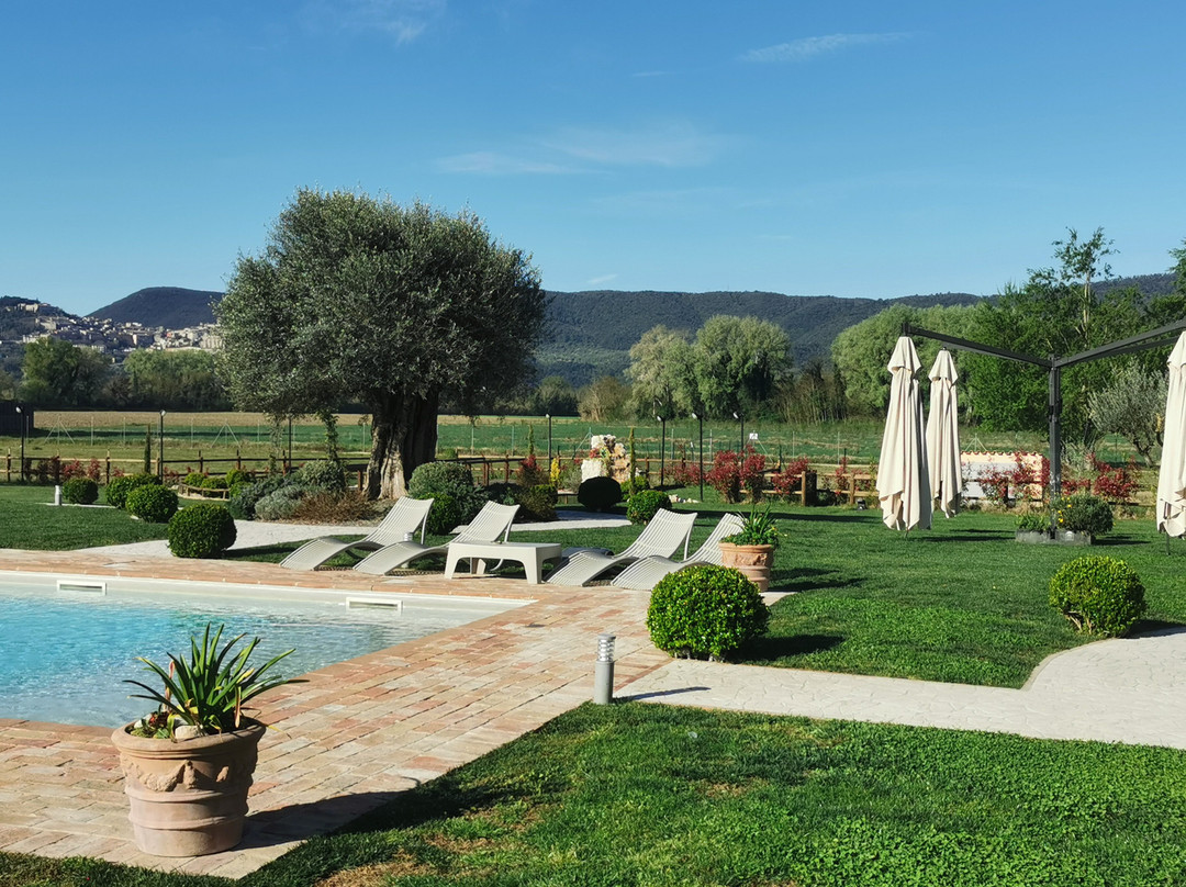 Agriturismo Tenuta Filippi