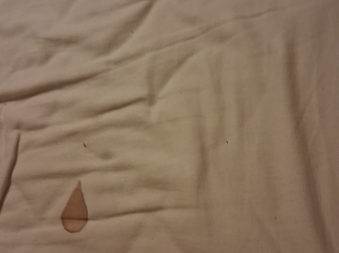 德拉默兹酒店主图