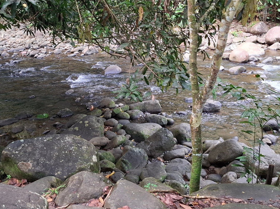 Bassin aux Écrevisses