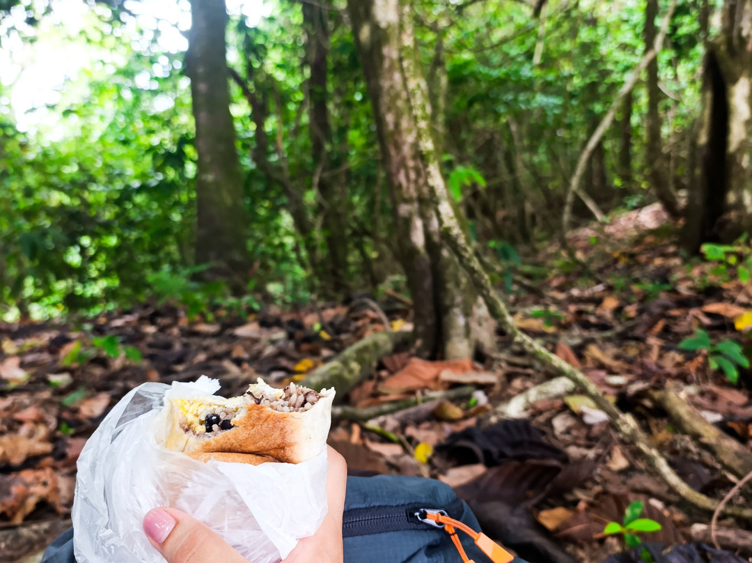 Costa Rica Wild Expeditions-希门尼斯港必去景点