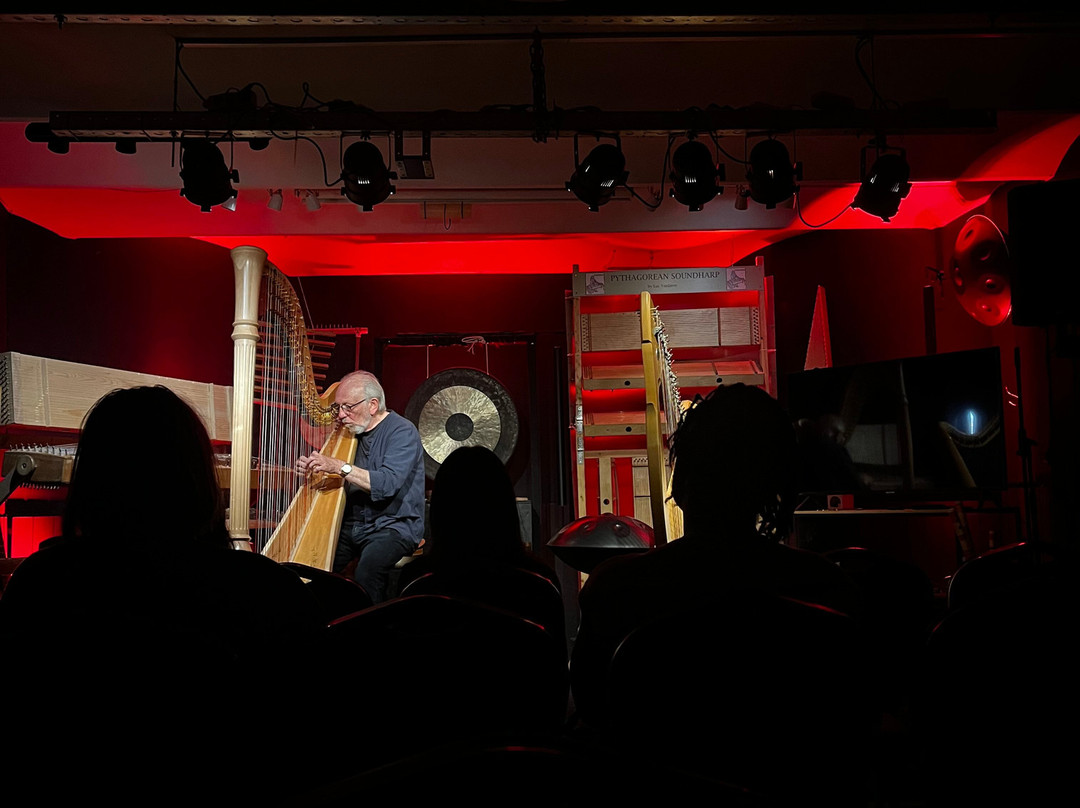Luc Vanlaere Harpist - Harp Museum-布鲁日必去景点