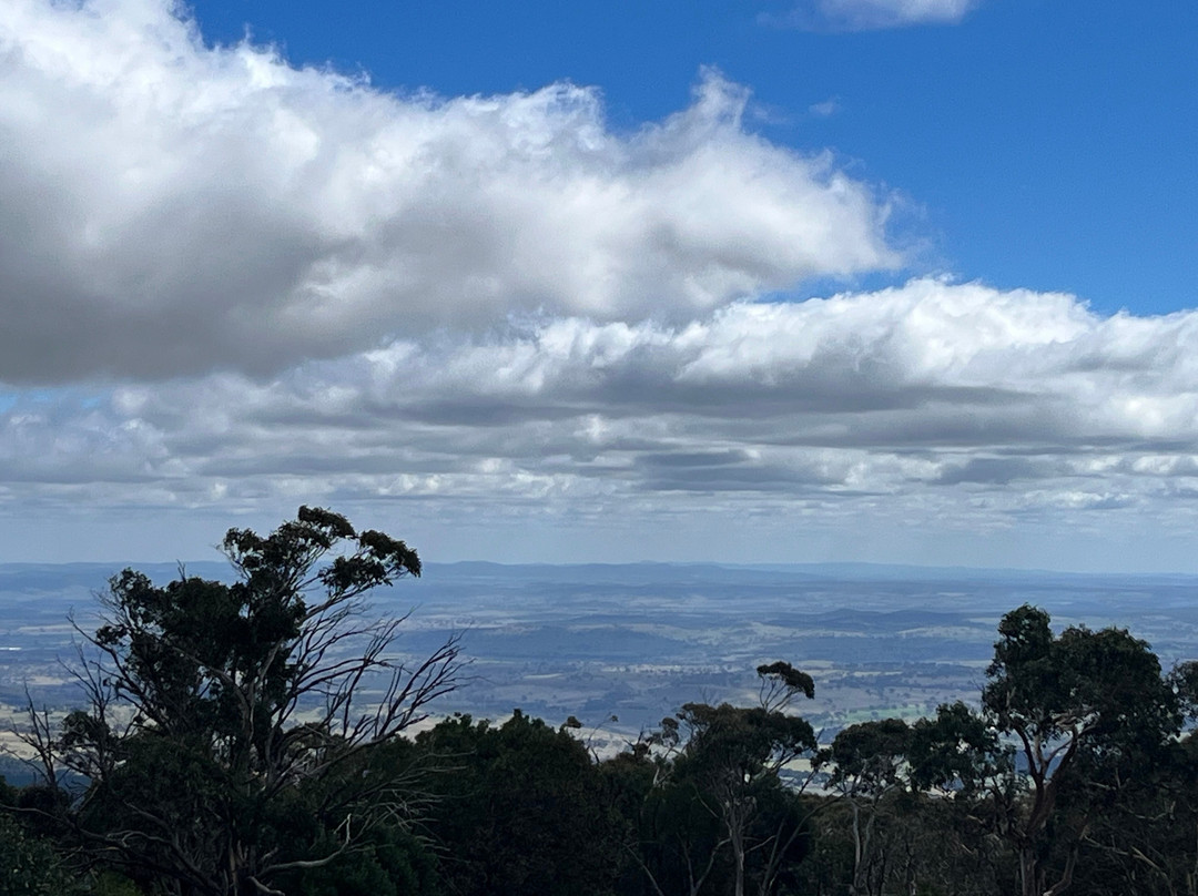 Mount Canobolas State Conservation Area-奥兰治必去景点