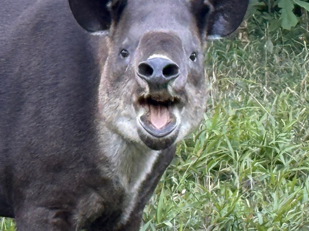 Costa Rica Focus-圣何塞必去景点