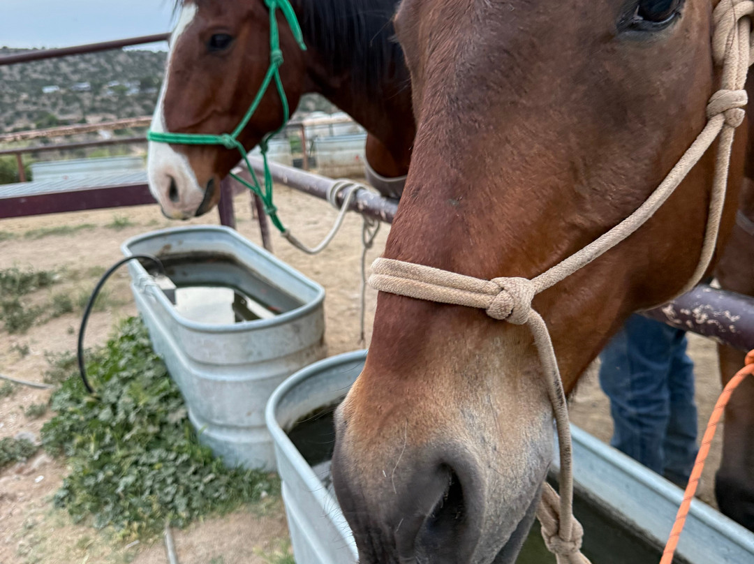 Horsin' Around Adventures-Cornville必去景点