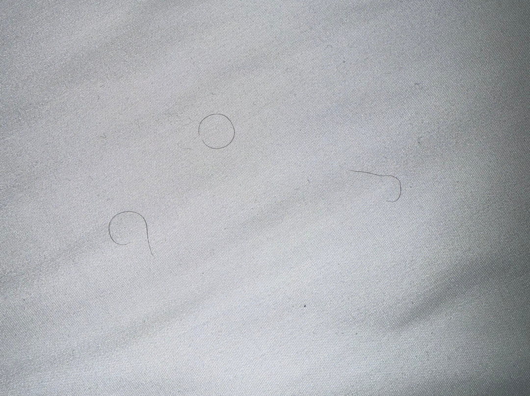 北福尔里弗智选假日酒店主图