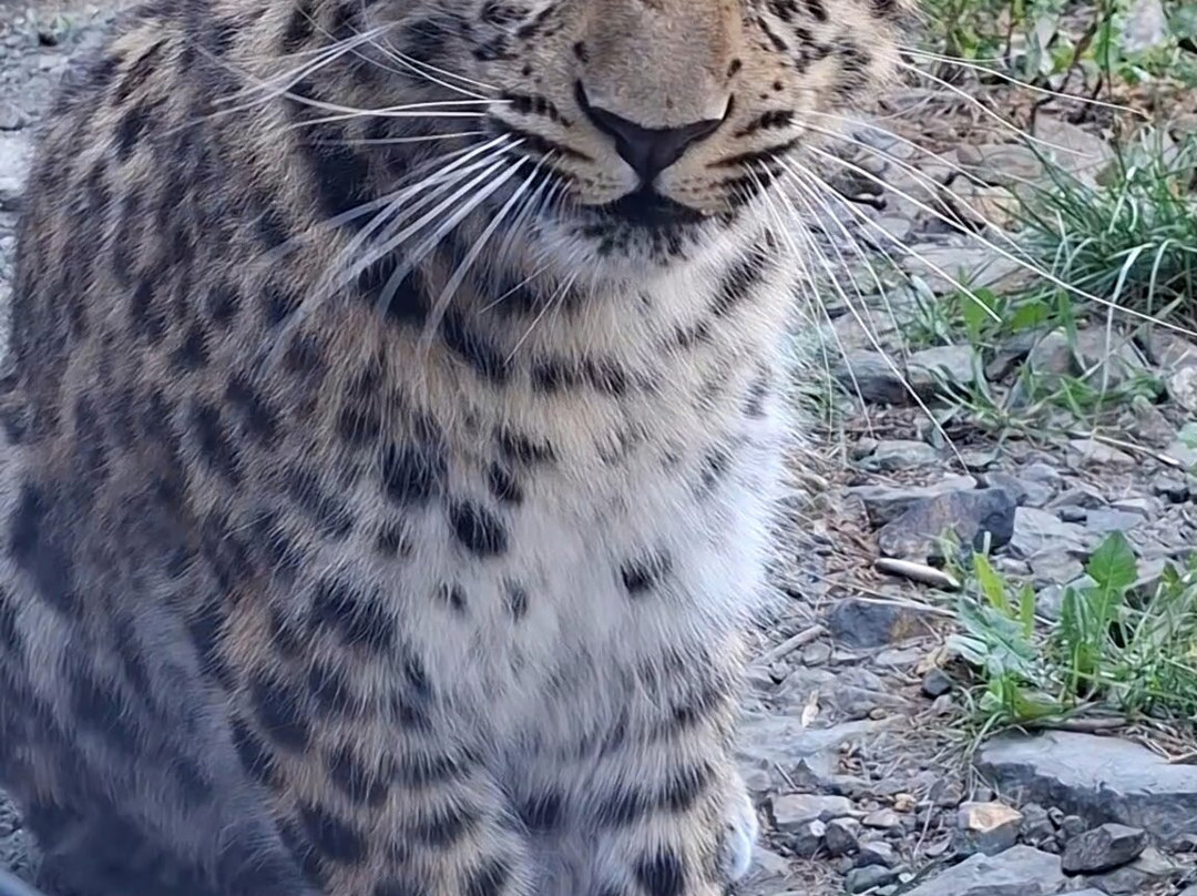 EcoZonia - Parc Animalier-Cases de Pene必去景点