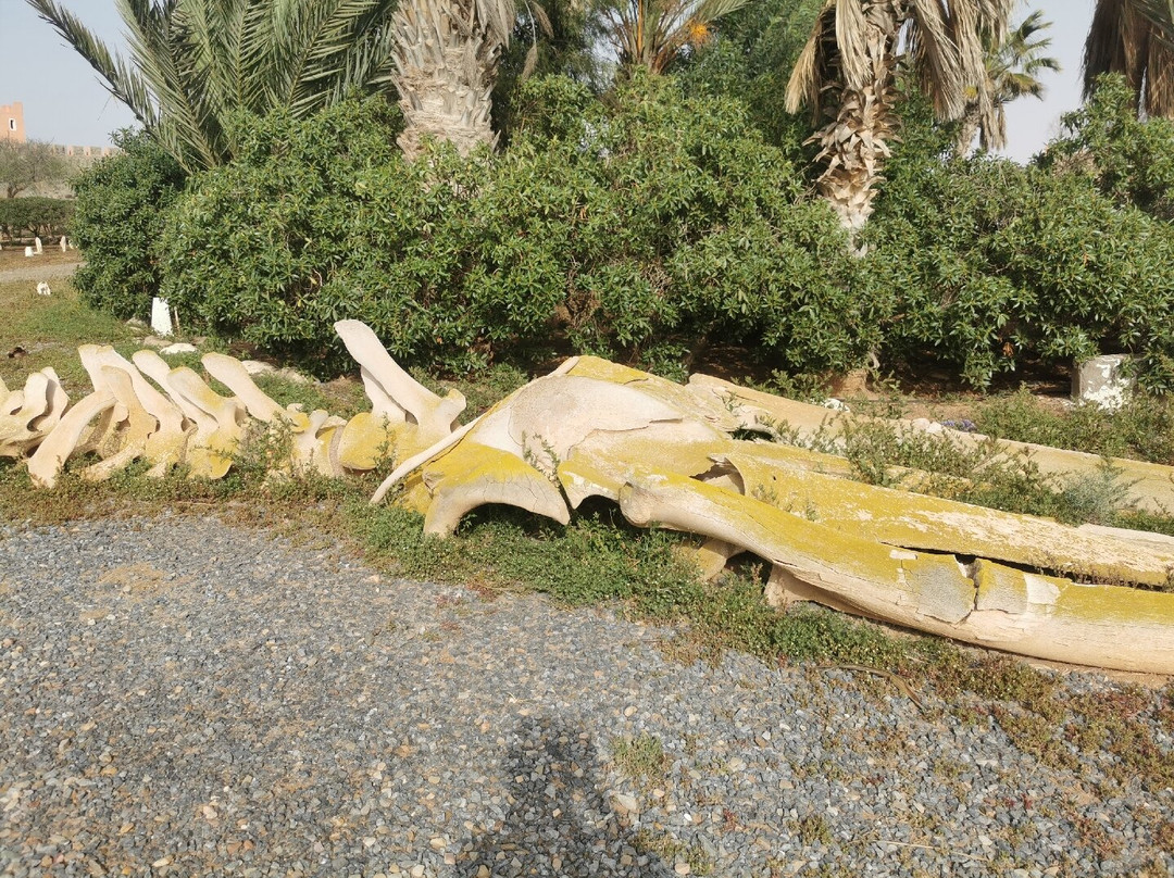 Fort Bou-Jerif主图