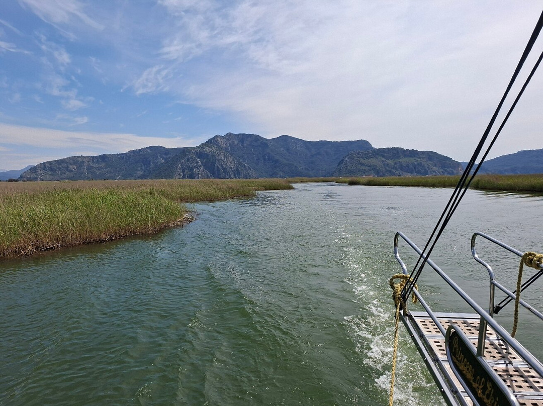 Princess of Ekincik Boat Tours-达利安必去景点