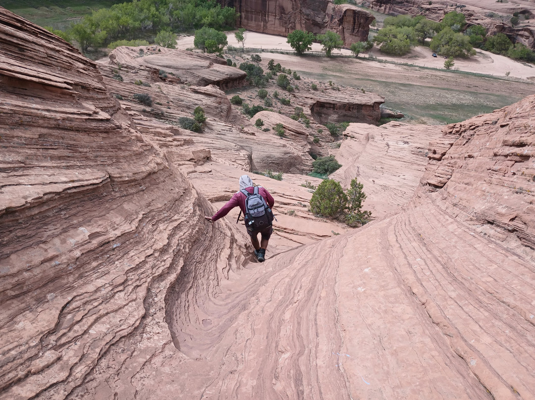 Canyon De Chelly Tours, Llc.-Chinle必去景点