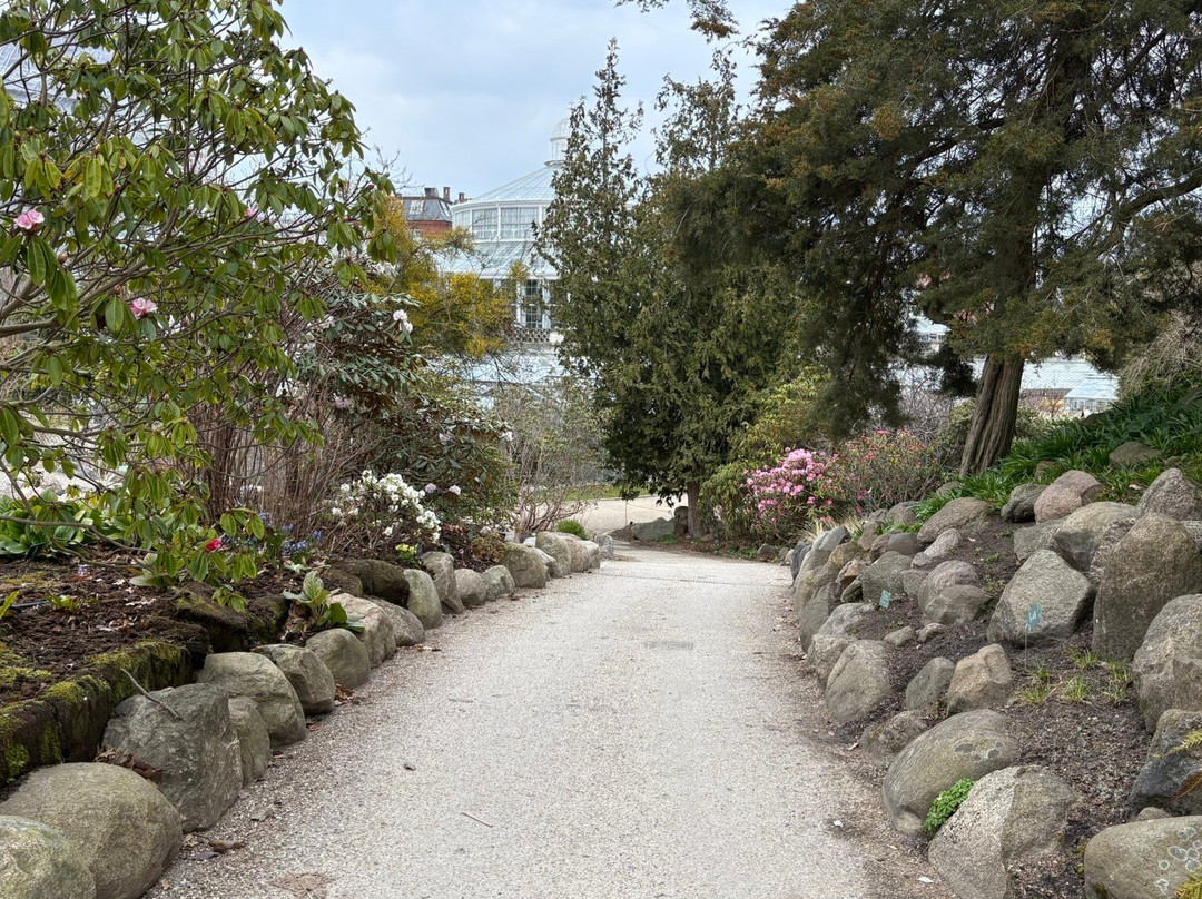Botanical Garden-哥本哈根必去景点