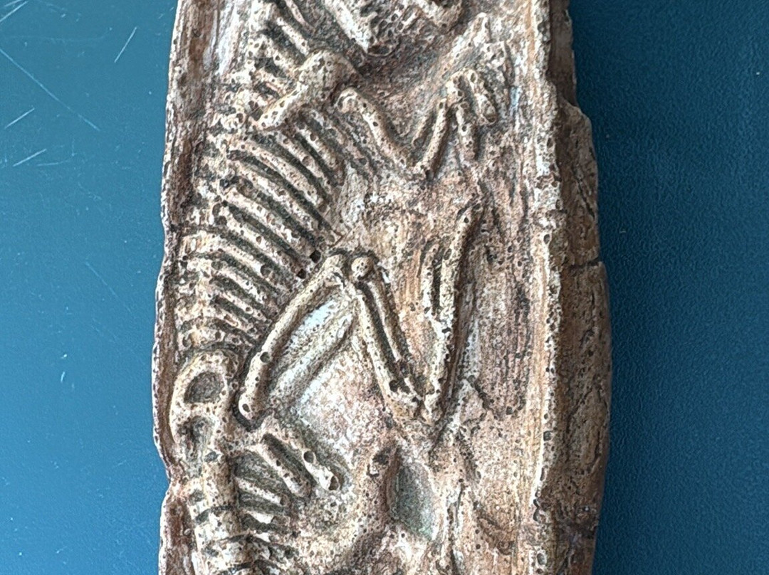 Sur Les Traces de Dinosaures-Payzac必去景点