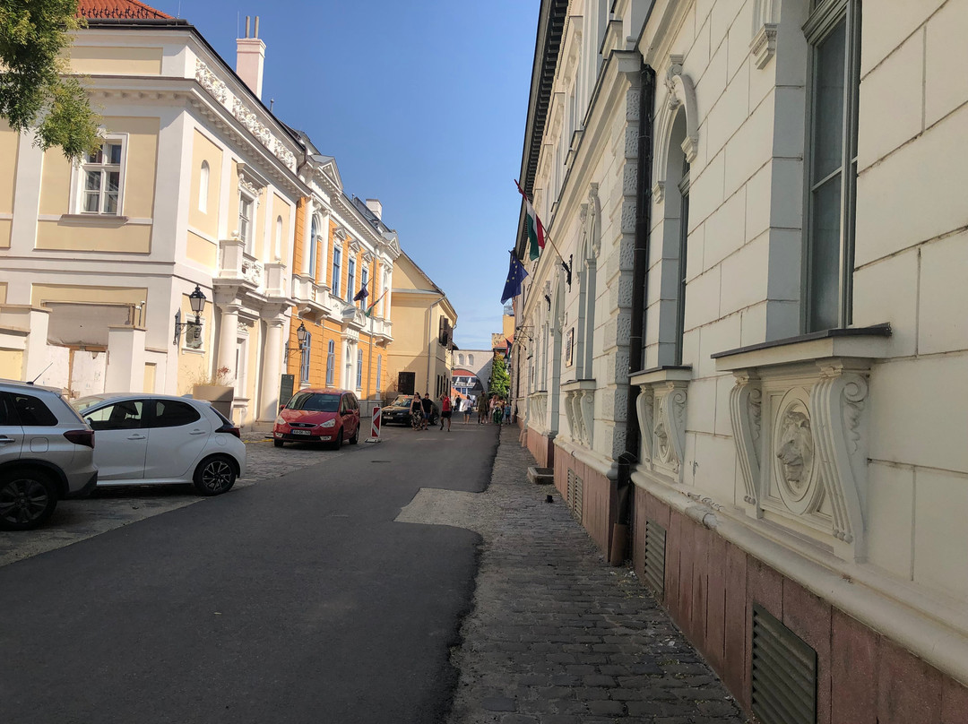 Castle Hill (Veszpremi Varhegy)-维斯普雷姆必去景点