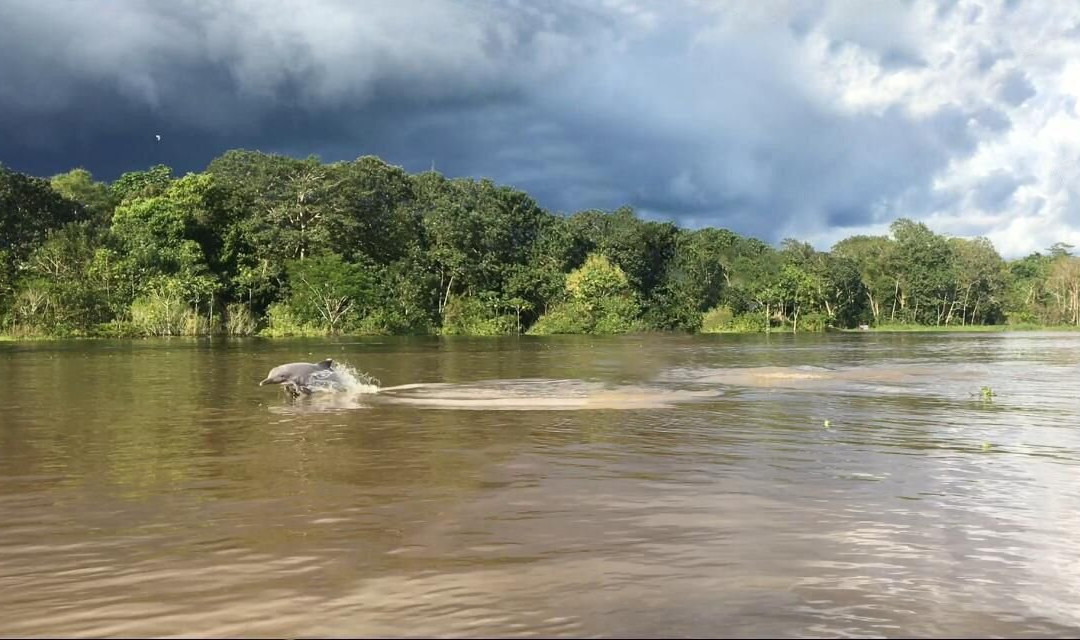 Amaselva Tours - Colombia Amazon-Puerto Narino必去景点