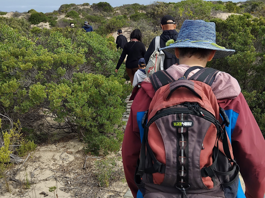 Spirit of the Coorong Cruises-Goolwa必去景点