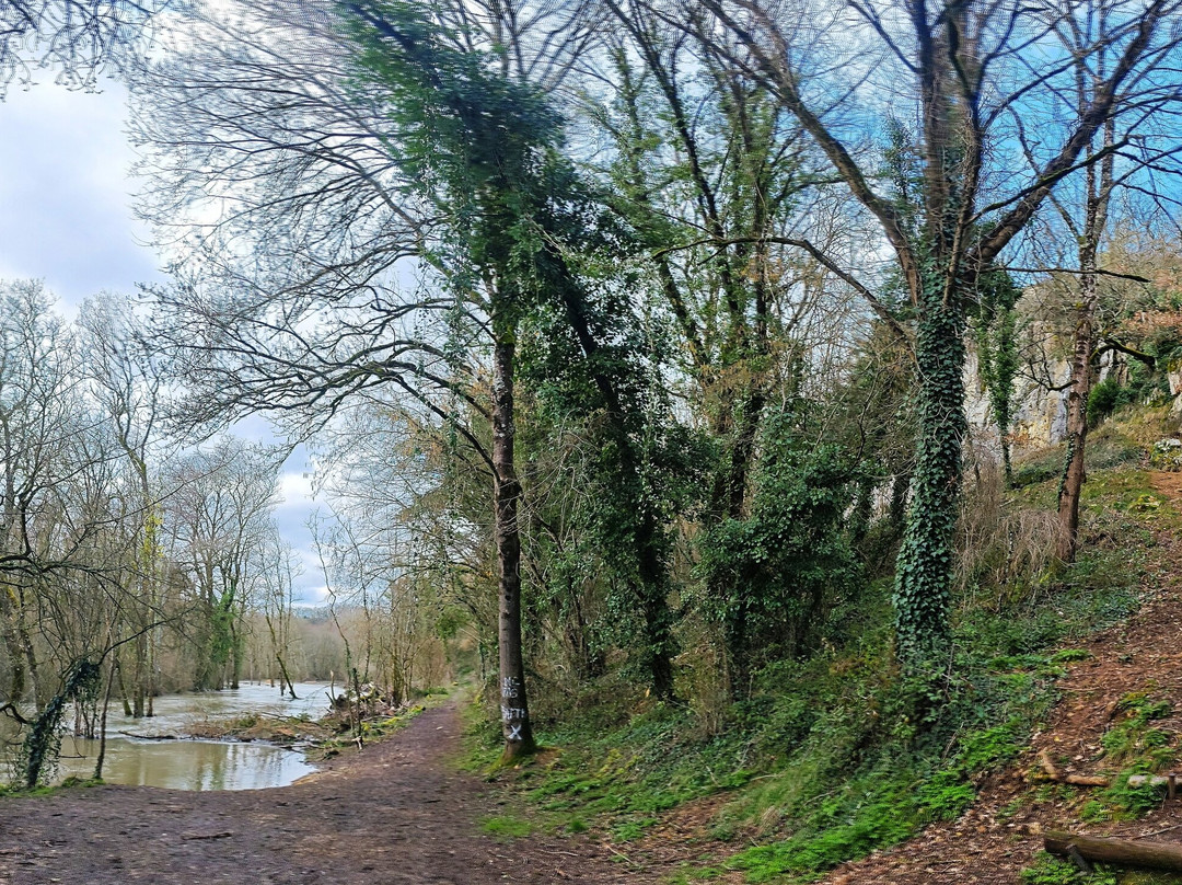 Site d'escalade de Beauvoir-Vouneuil-sous-Biard必去景点