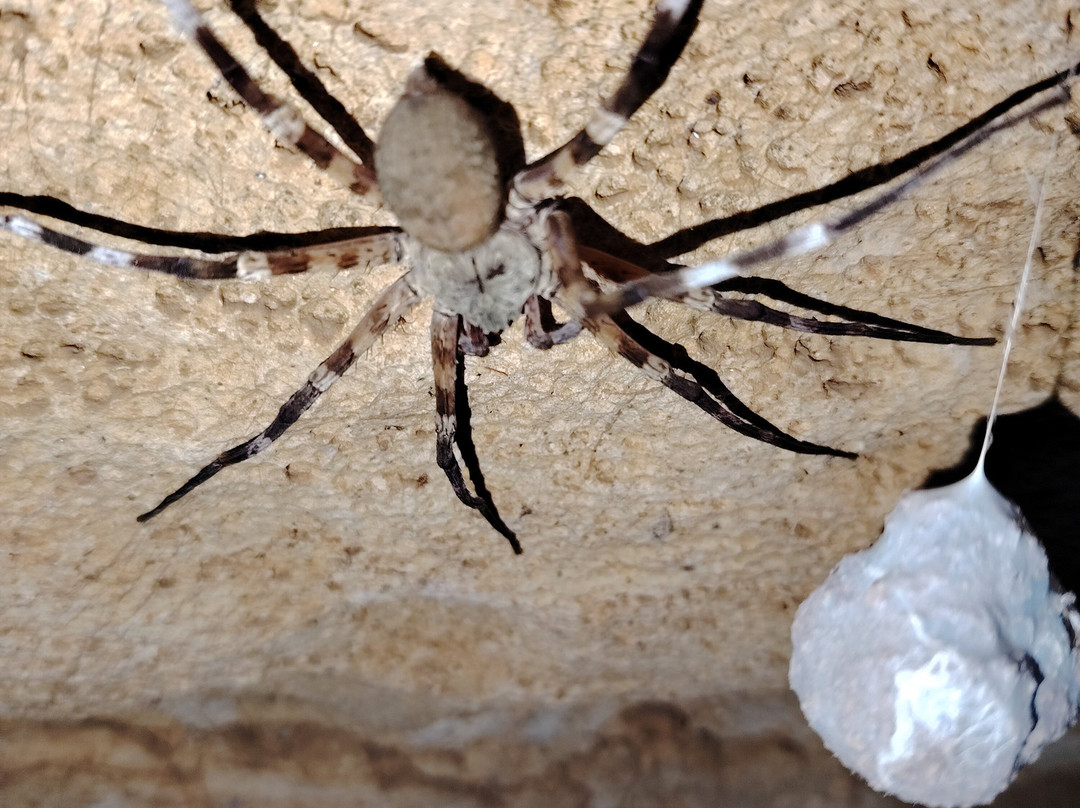 Madagascar Visite Company-安塔那那利佛必去景点