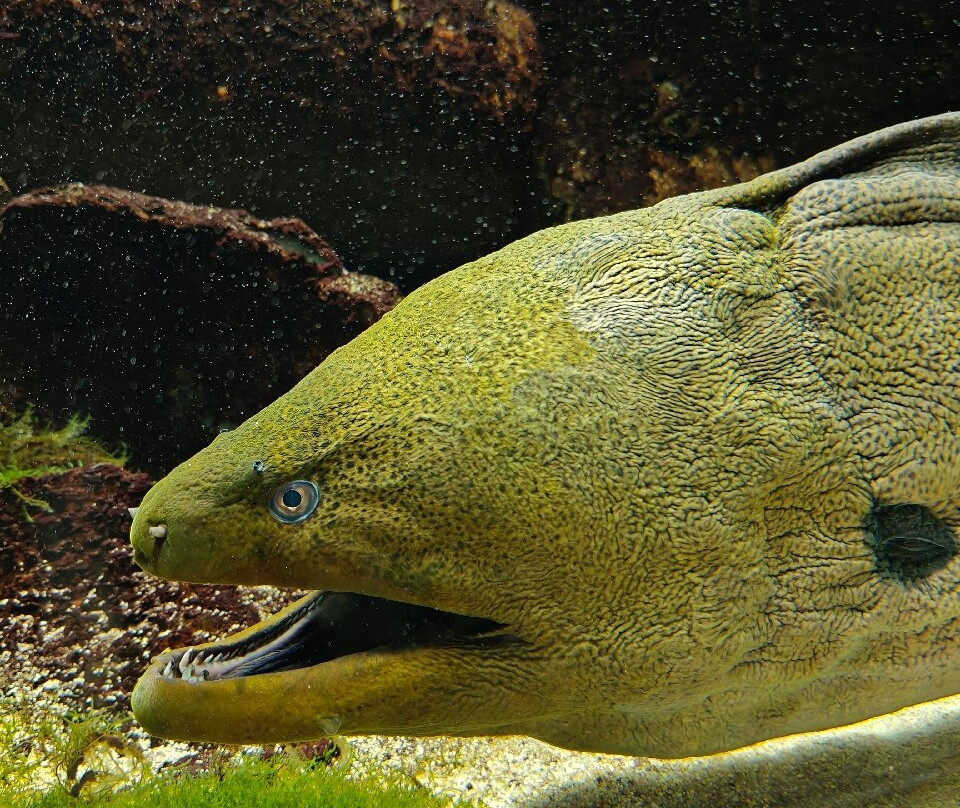 Aquarium d'Amneville-昂内维尔必去景点