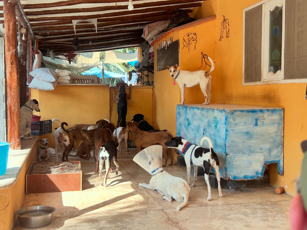 Refugio Holbox-Holbox Island必去景点