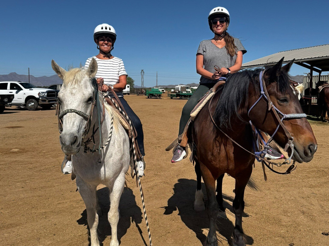 KOLI Equestrian Center-钱德勒必去景点