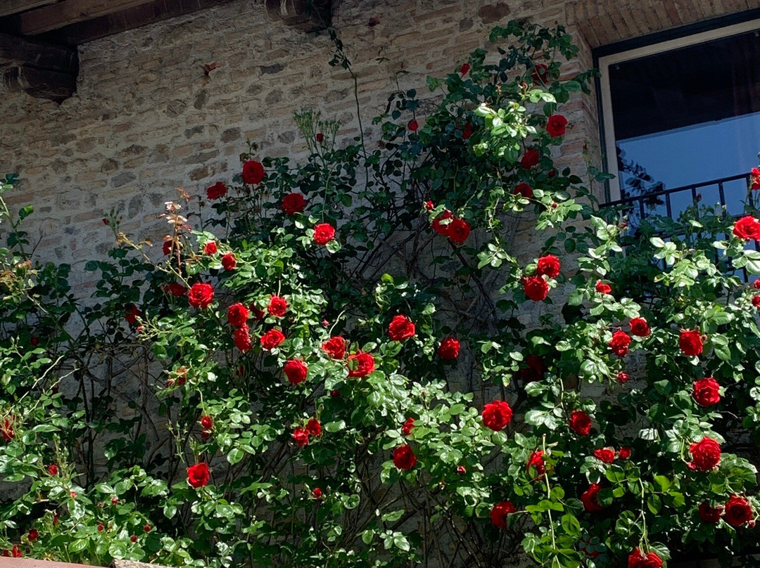 Agriturismo La Fraschetta
