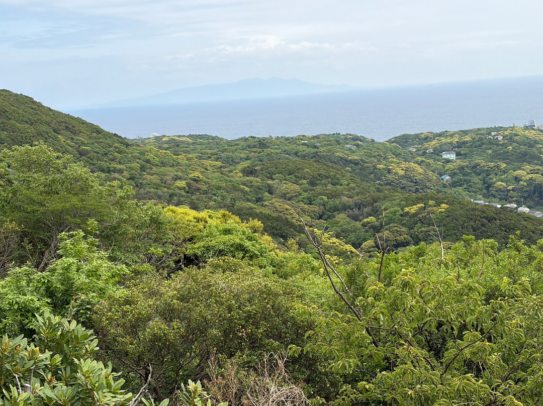 Jogasaki Beach Picnical Course-伊东市必去景点