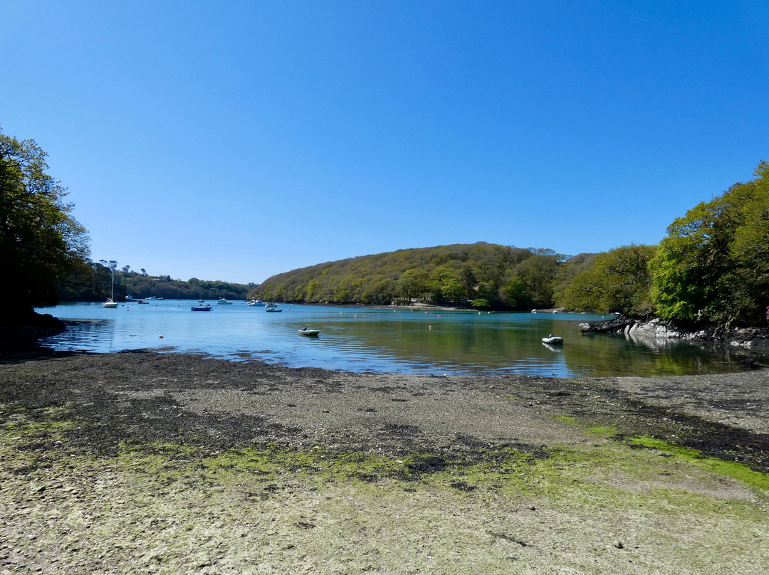 Helford River Cruises-Mawnan Smith必去景点