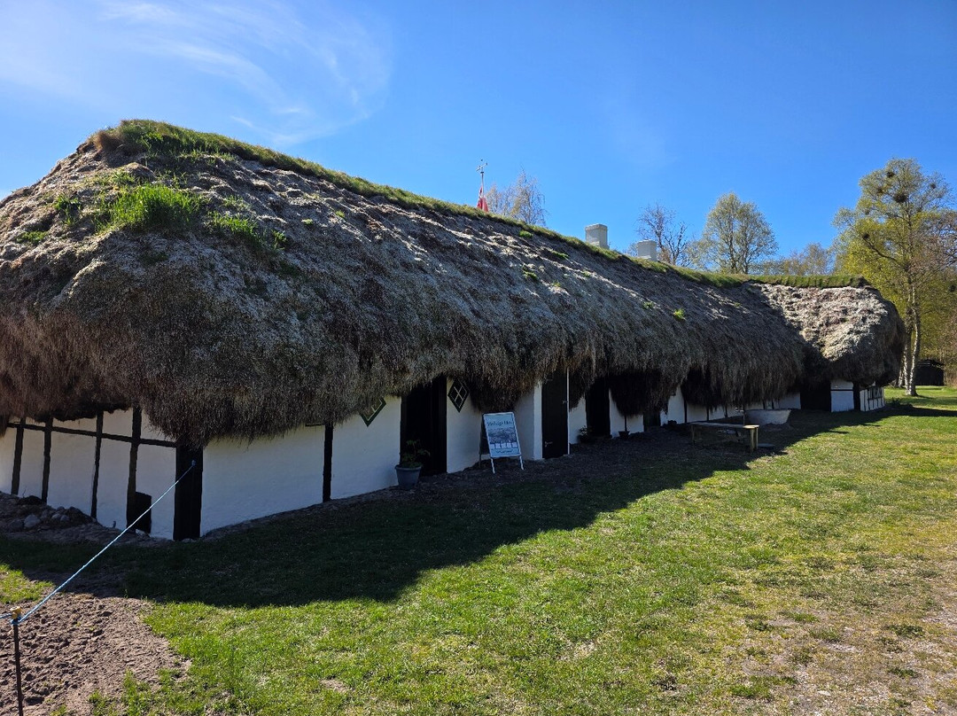 Hedvigs Hus-Laesoe Island必去景点