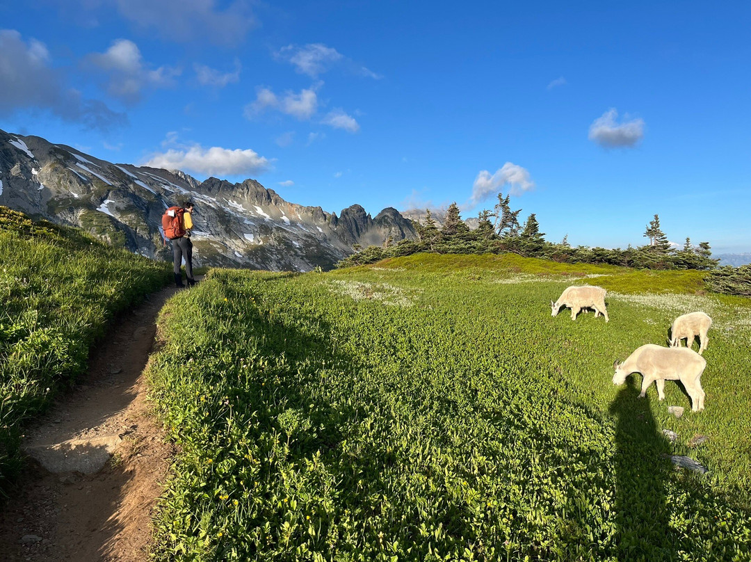 North Cascades National Park-North Cascades National Park必去景点