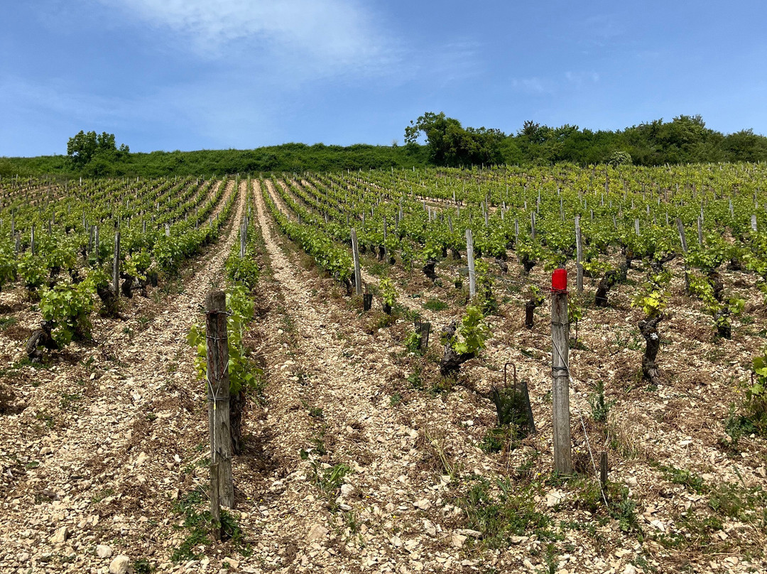 Vinitour Centre-Loire-桑塞尔必去景点
