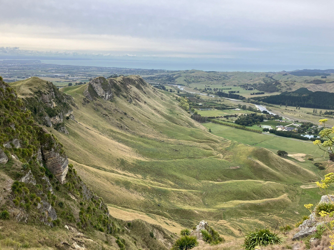Te Mata Peak-黑斯廷斯必去景点