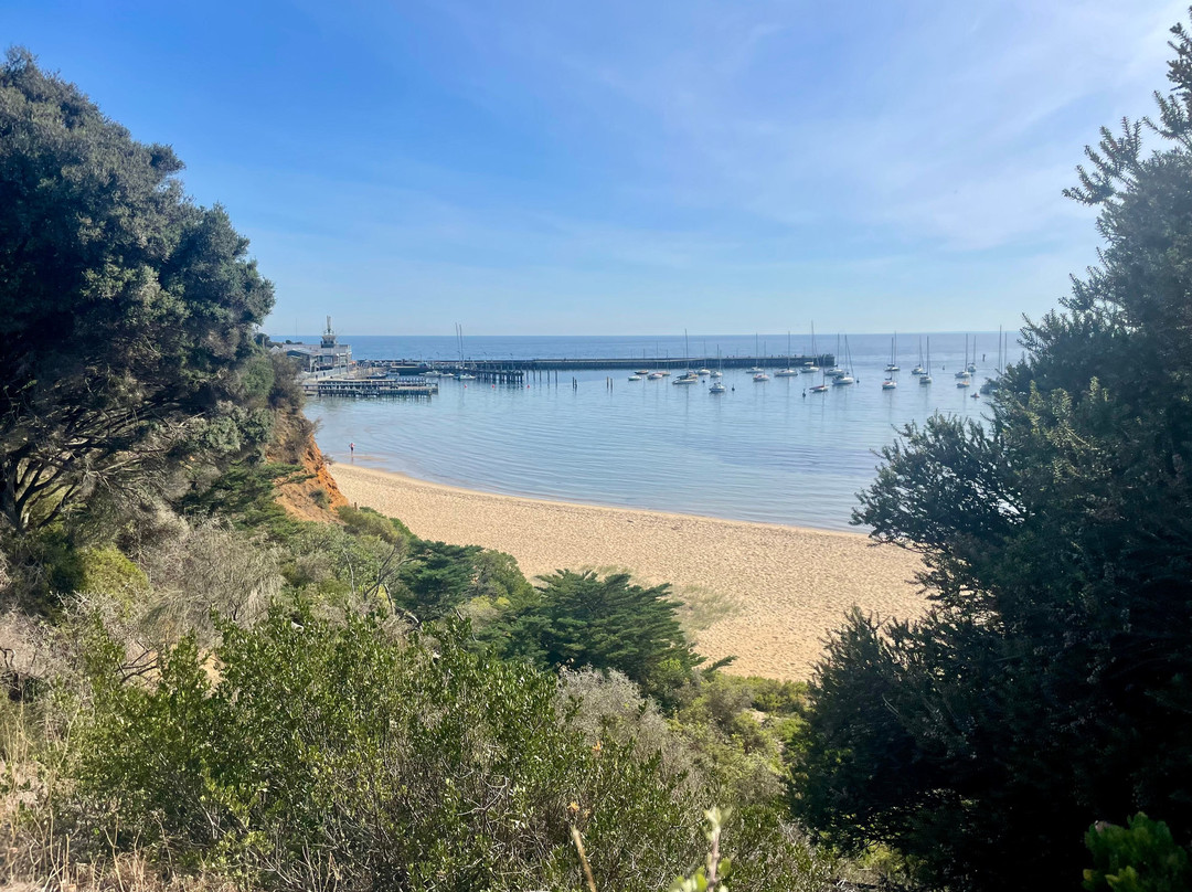 Mornington Pier-莫宁顿必去景点
