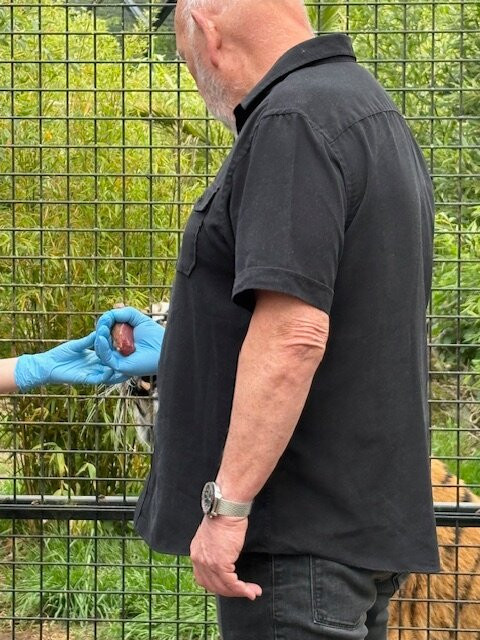 Hertfordshire Zoo-布罗克斯本必去景点
