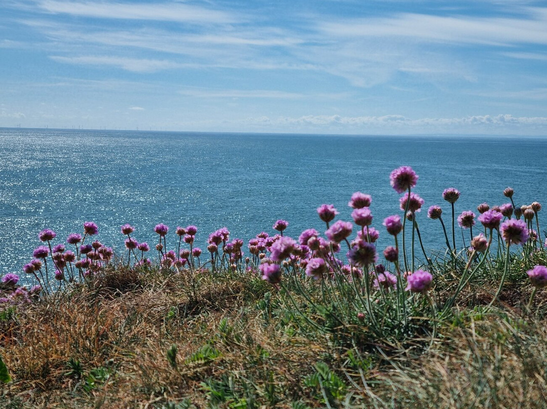 Arbroath Cliffs-Arbroath必去景点