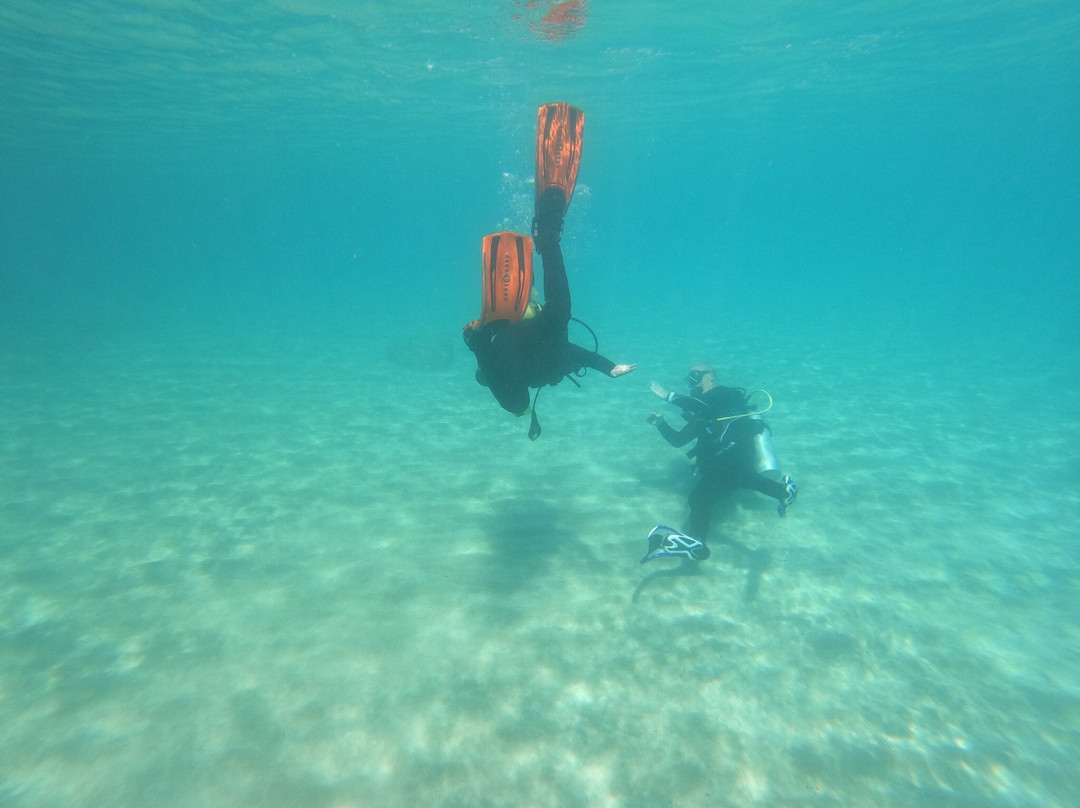 Marine Divers-帕福斯必去景点