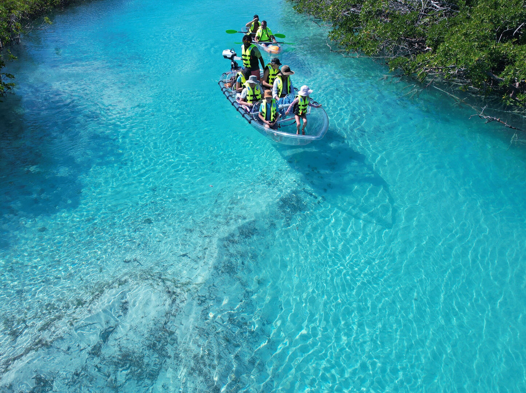 Clear wave tours