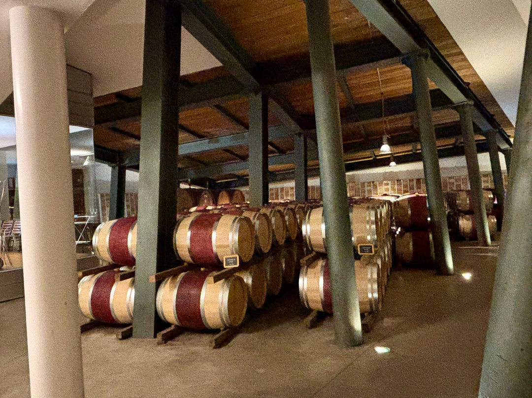 Umani Ronchi Winery