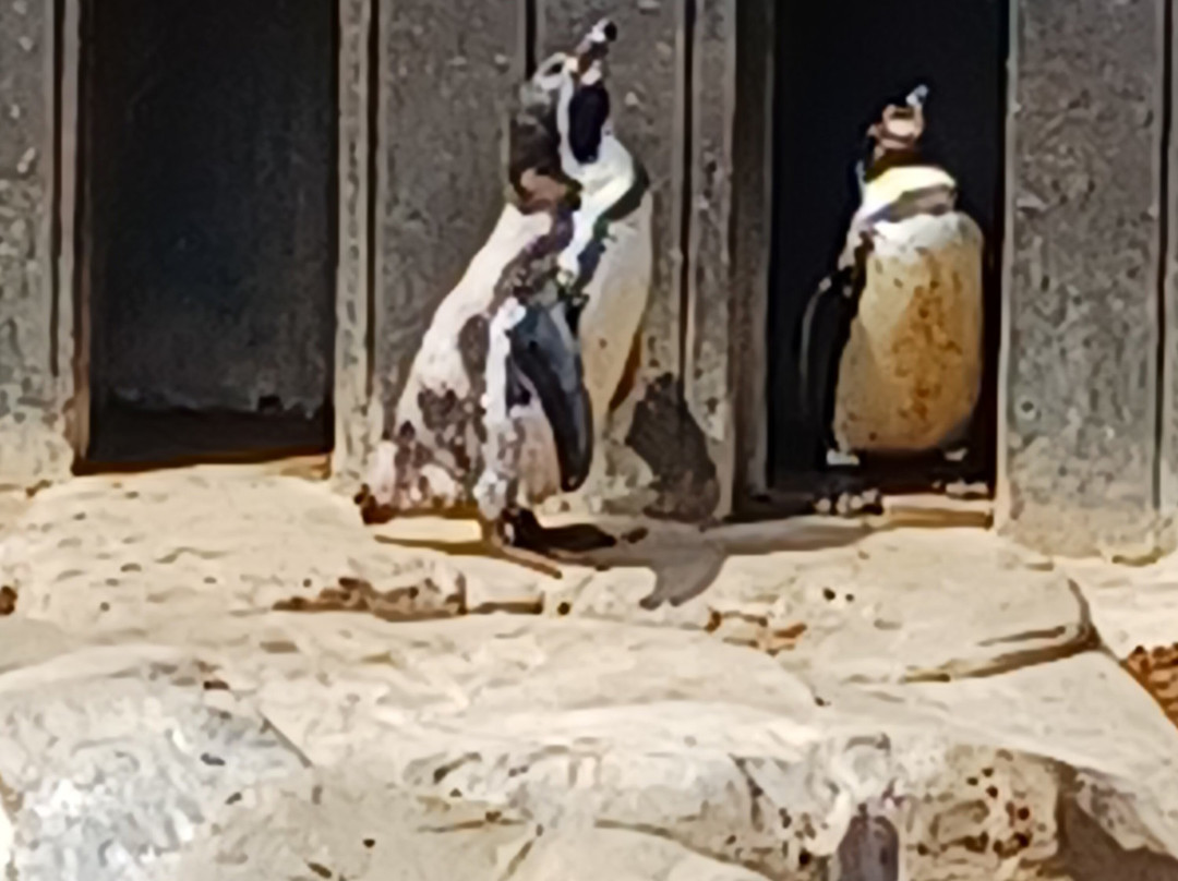 Sea Life Scarborough-斯卡伯勒必去景点
