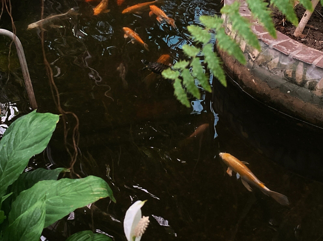 Siberian Botanical Garden-托木斯克必去景点