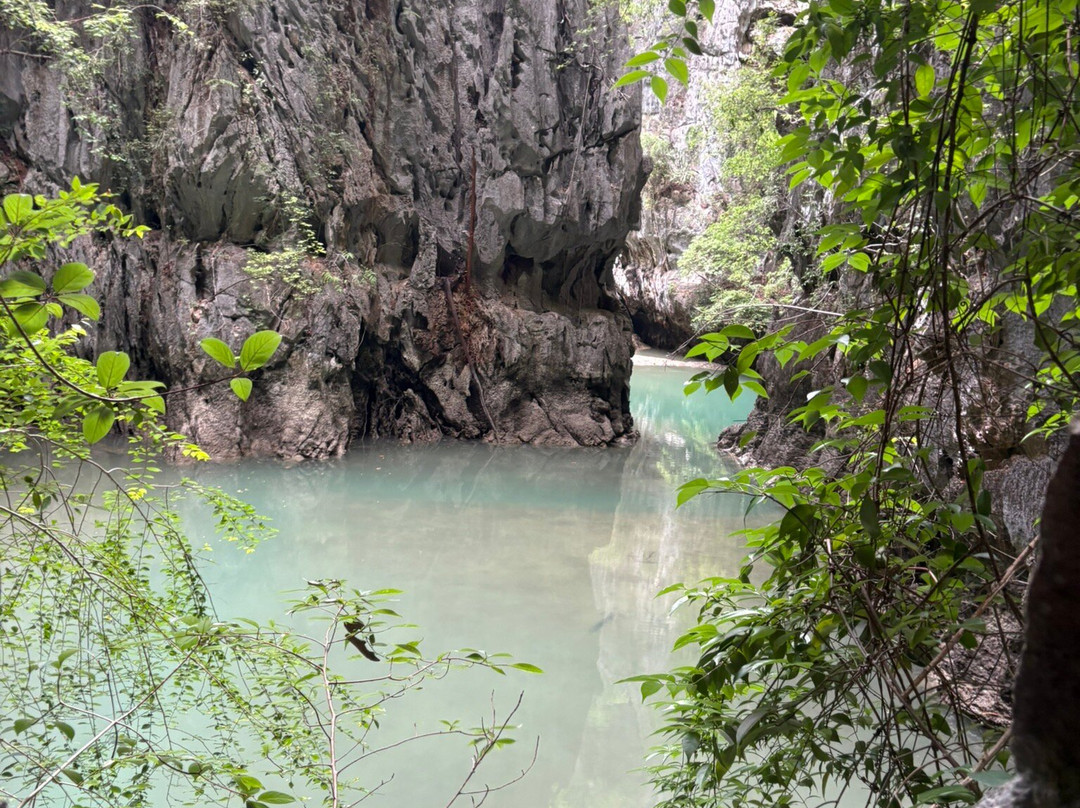 Phuket Seahorse Tours-卡伦必去景点