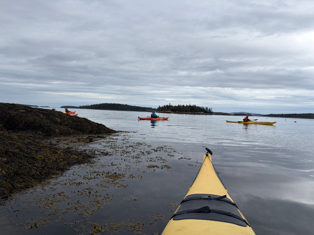Osprey's Echo Sea Kayaking-Stonington必去景点
