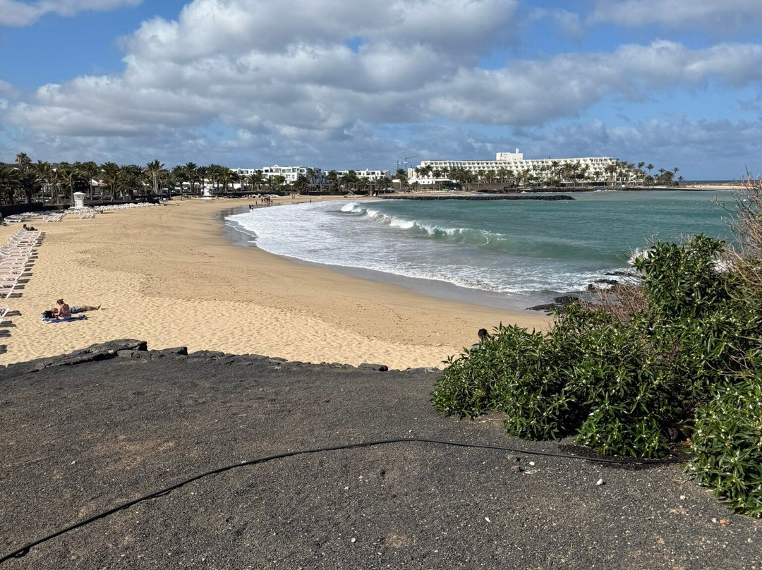 Playa de las Cucharas-科斯塔特吉塞必去景点