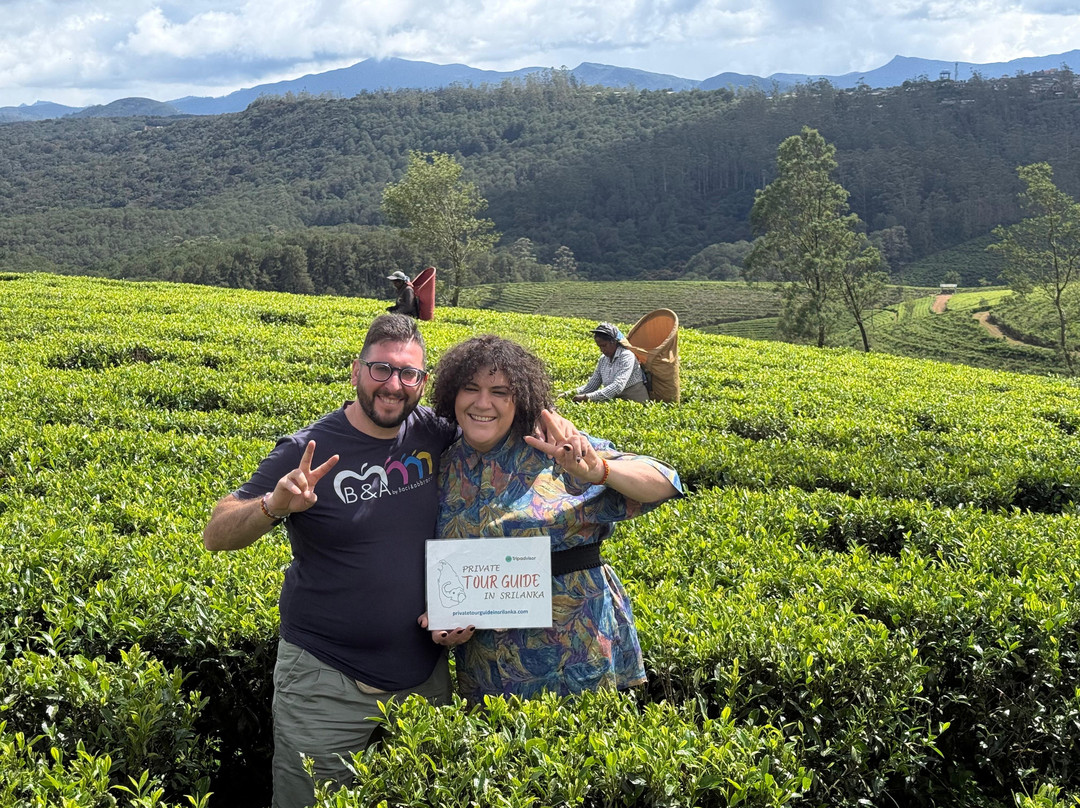 Private Tour Guide in Sri Lanka-科伦坡必去景点