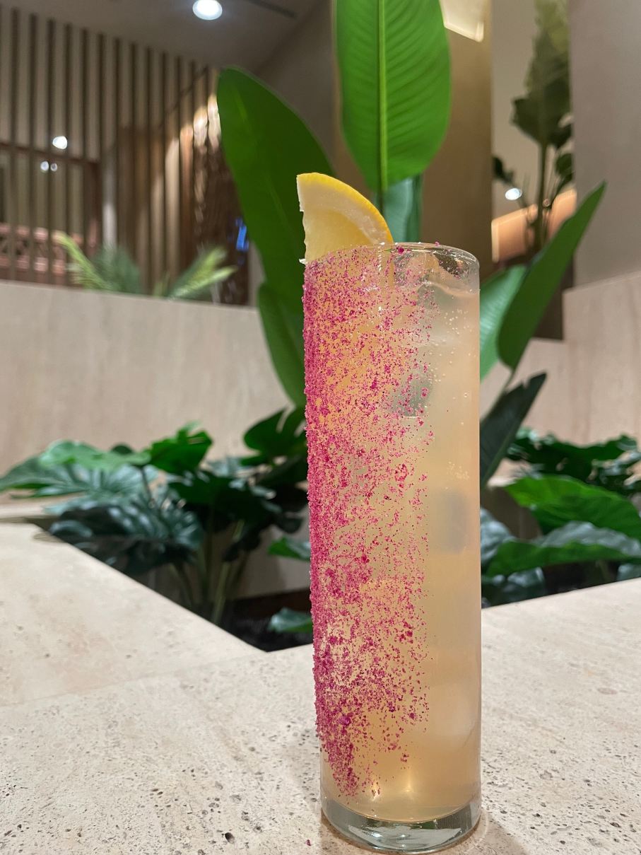 阿卡莎海滩水疗酒店-旅行者