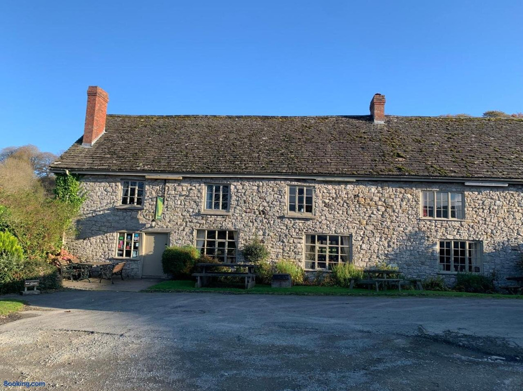 The Harp Inn