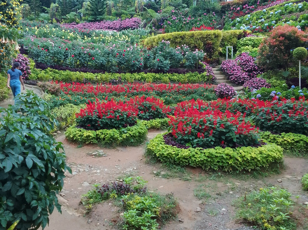 Buwakan Ni Alejandra-Balamban必去景点