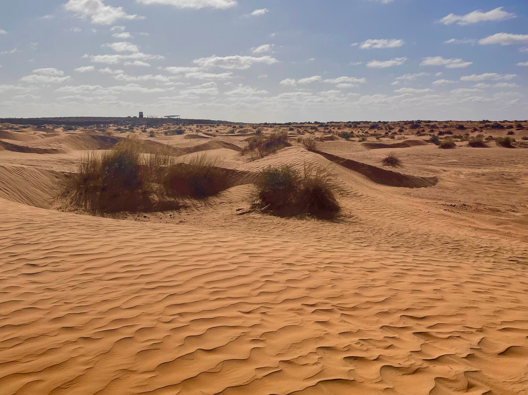 GSA-VOYAGES - Grand Sahara Aventures-杰尔巴岛必去景点